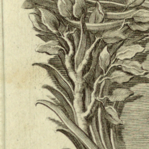 Print