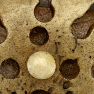 Button (possibly France), 19th century