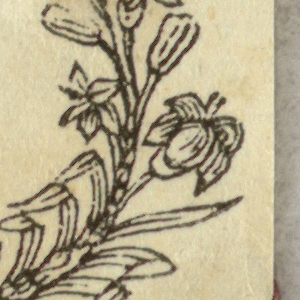 Print