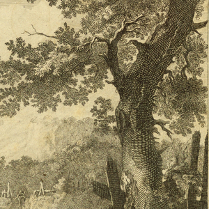 Print