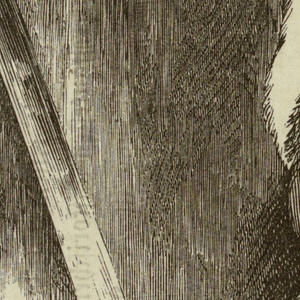Print, Arm with a drawn sword, 1840–41