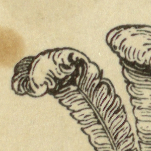 Print (England), ca. 1845