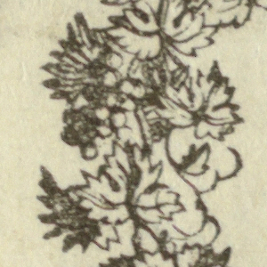 Print