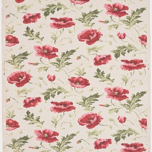 Sidewall (USA), 1875–1925