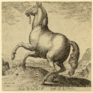 Print, A French horse from the first set of Equile Joannis Austriaci, ca. 1575