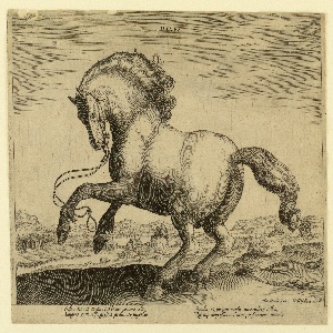 Print, A Danish horse from the fourth set of Equile Joannis Austriaci, ca. 1575