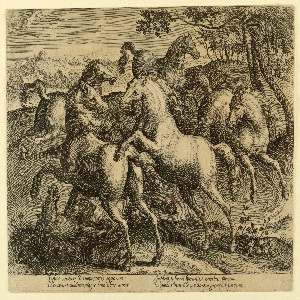Print, Fighting horses from the fourth set of Equile Joannis Austriaci, ca. 1575