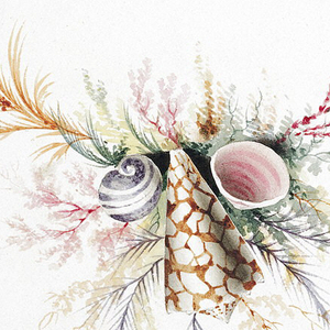 Drawing, Ornament Design with Seaweed and Shells, 19th century