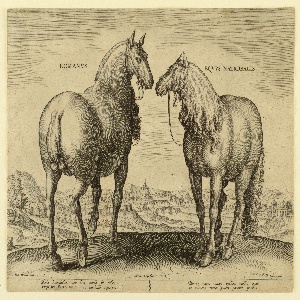Print, A Roman horse, a riding horse for ladies from the first set of Equile Joannis Austriaci, ca. 1575