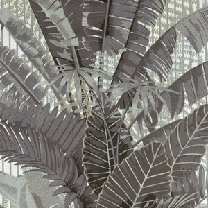 Textile, Brisbane Palms, 1987