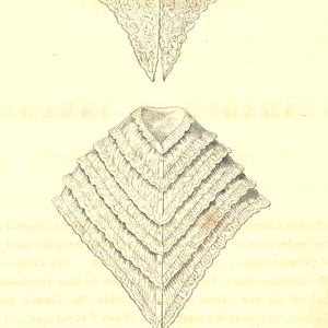 Print