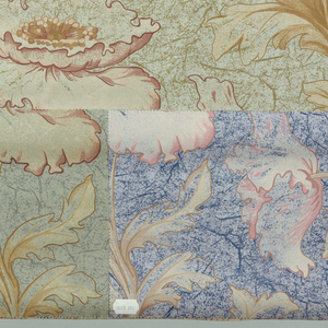Textile, Kassandra