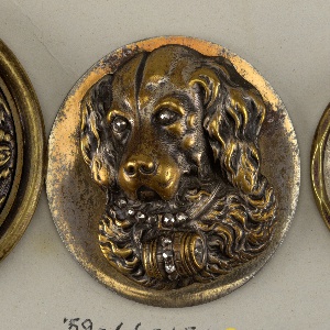 Button