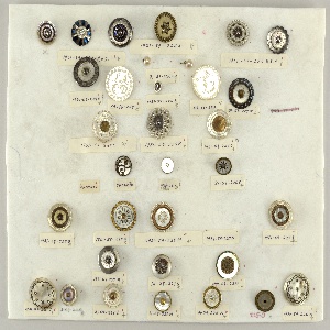 Button, 19th century