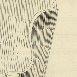 Drawing, Designs for Chairs