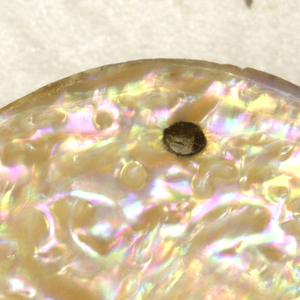 Button