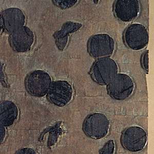 Printing Block (Japan), 19th century