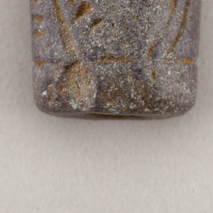 Seal