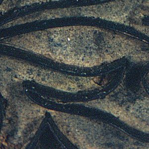 Printing Block For Embroidery (USA), 1825–50
