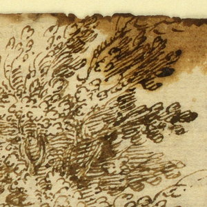Drawing, Study of a Tree, 1600–1650