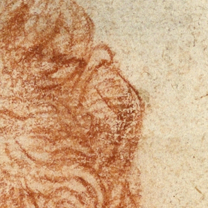 Drawing, Head of Summer