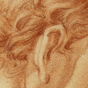 Drawing, Study of the Back of a Young Man