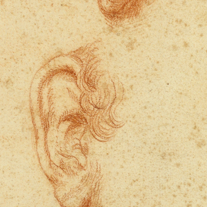 Drawing, Studies of five ears, noses and a mouth, mid- 16th century