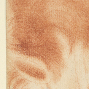 Drawing, Profile of Horse