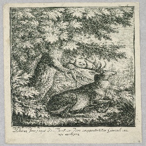 Print