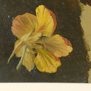 Drawing (France)