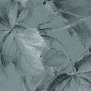 Drawing, Grape Leaves