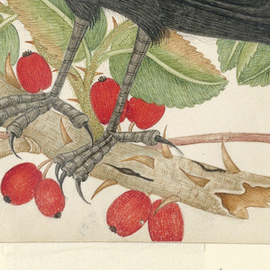 Drawing