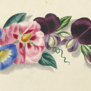 Drawing, Arrangement of morning glories, moss roses, lilies, and other flowers, 1829