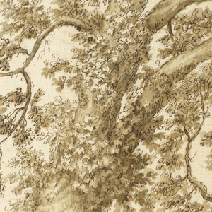 Drawing, Study of a Tree, 18th century