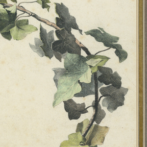 Drawing, Trophy with Flute, Ivy and Blue Ribbon, 1780–90
