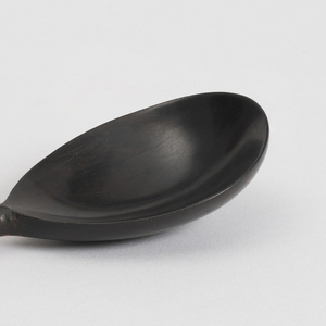 Spoon