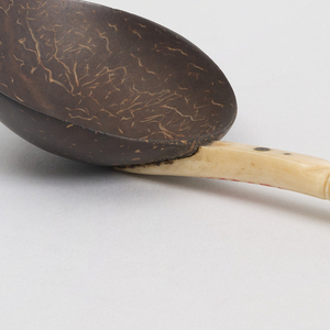 Spoon