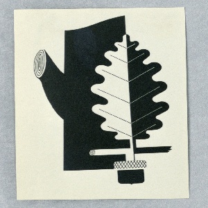 Photograph (USA)