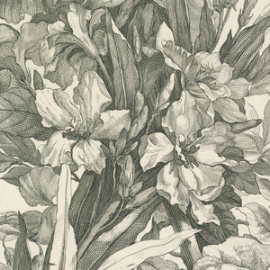 Print (France)