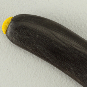 Pen Model