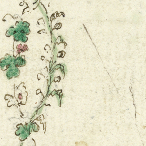 Drawing (Italy)