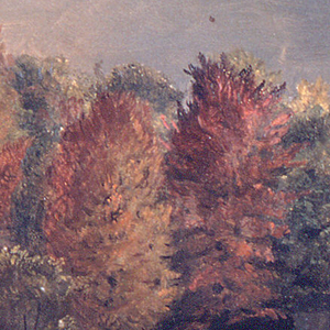 Drawing, Maine ? woods, 1860–70