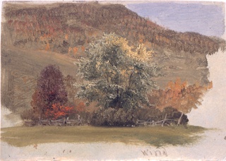 Drawing, Autumn Foliage in the Wind, Vermont