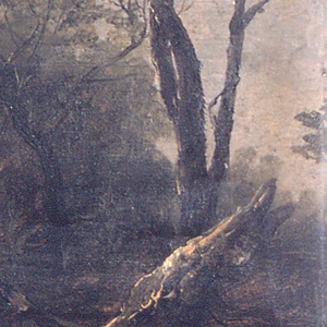Drawing, Maine Woods, 1845–55
