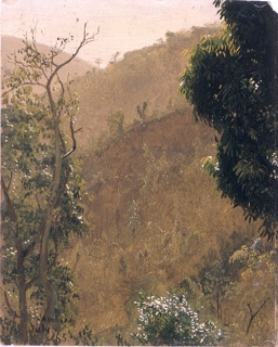 Drawing, Hillsides, Jamaica
