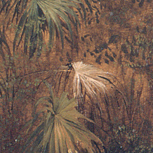 Drawing, Thatch Palm, Jamaica, May 1865