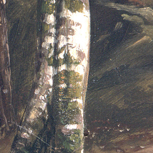 Drawing, Tree trunk, June 1865