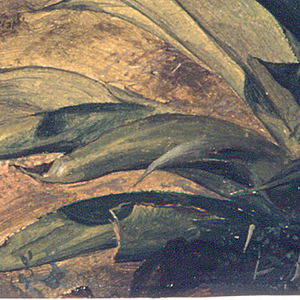 Drawing, Botanical study, 1865–66