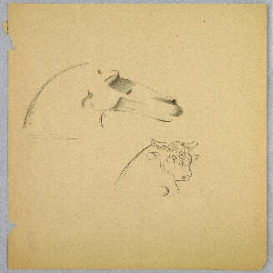 Drawing (USA)