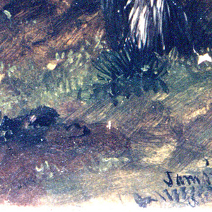 Drawing, Palm Trees, July 1865